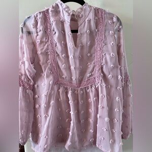 Pink Embroidered Sheer Blouse